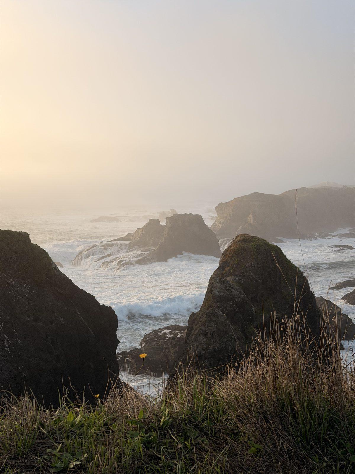 Coastal scene on the Mendocino coast